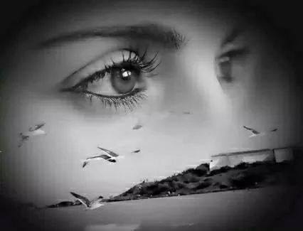 &  سالب الروضه & (@abtsam2007) on Twitter photo 