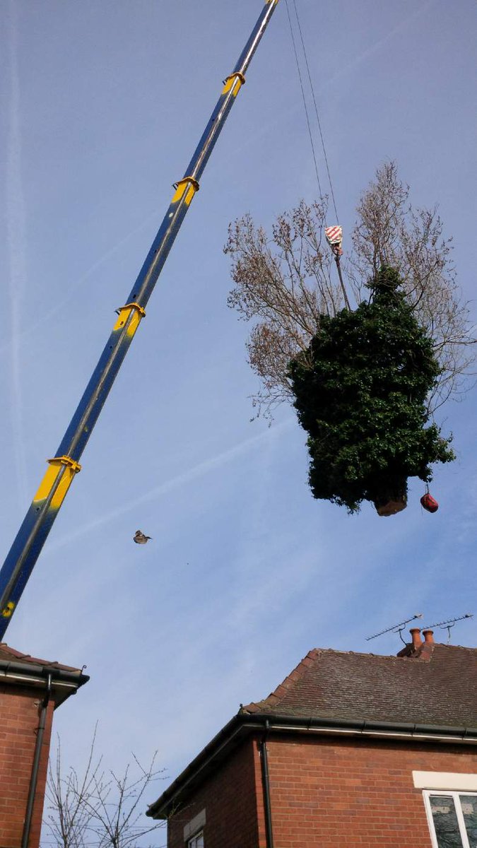 TreeManWolfe's tweet image. 3 tonne bad boy of a lift another hour to go then hopefully an early finish