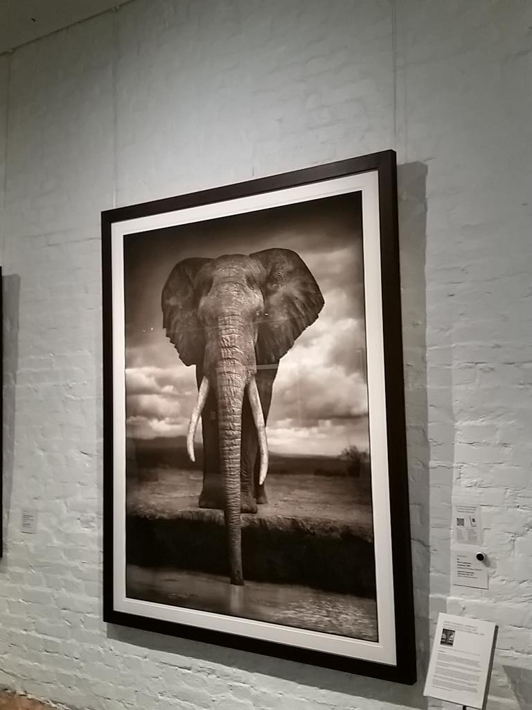 knaapinen's tweet photo. I recommend!! #NickBrandt #OnThisEarth #SalonTaidemuseo http://t.co/GIoQOOpXtA