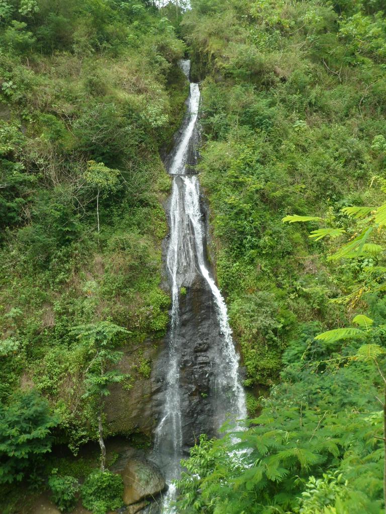 Jogja24Jam's tweet photo. Kebun teh Nglinggo &amp; grojogan watu jonggol, Kulonprogo.  http://t.co/Jzdo2uTpvY -@dewilestari08