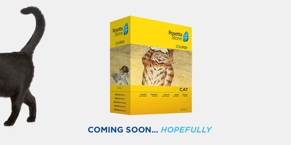 Do cats know we’re trying to meow when we make a meowing sound? r/NoStupidQuestions