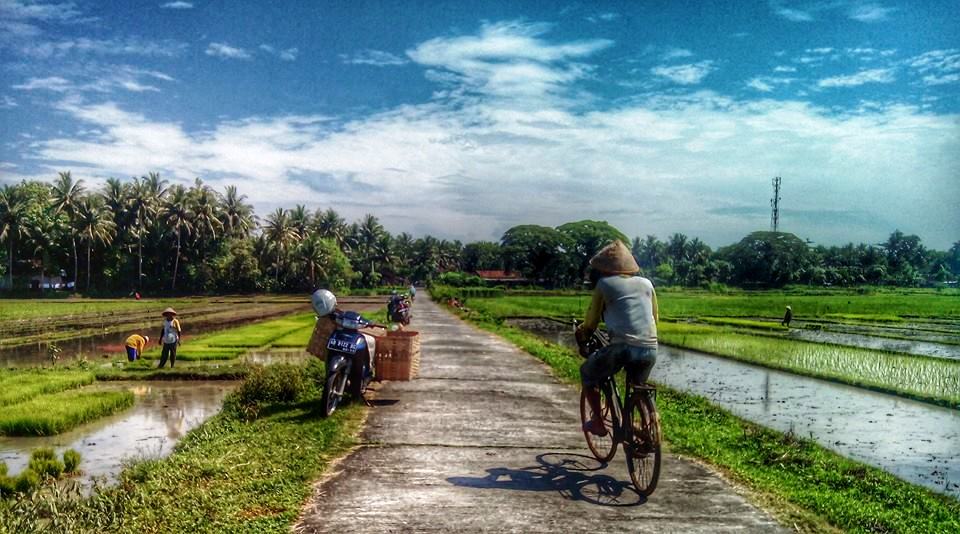 aktifitas kseharian para petani kita di kulonprogo,tanam padi utk kita makan (foto: @andryberlianto)  via <a href="/watespahpoh/">Hay!</a>