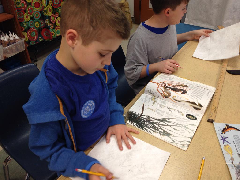 RoadrunnerLMC's tweet photo. Designing ocean life for the mural. #piaproject #artlibrary @@jengates395 @RES_Roadrunners http://t.co/EwAQGapzCK