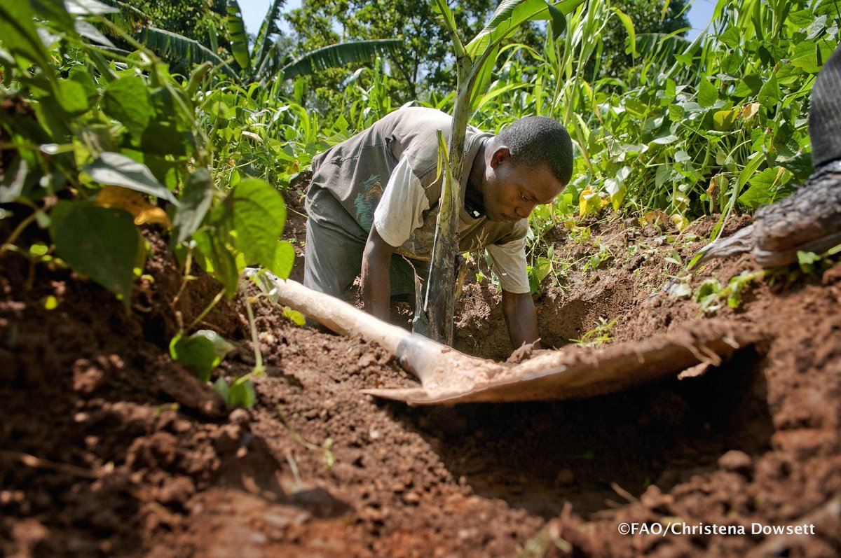 FAOKnowledge's tweet photo. Western &amp; Central African countries gain expertise in Digital #Soil Mapping http://t.co/HNmO8Vikgi #IYS2015 http://t.co/3htM9bxo1T