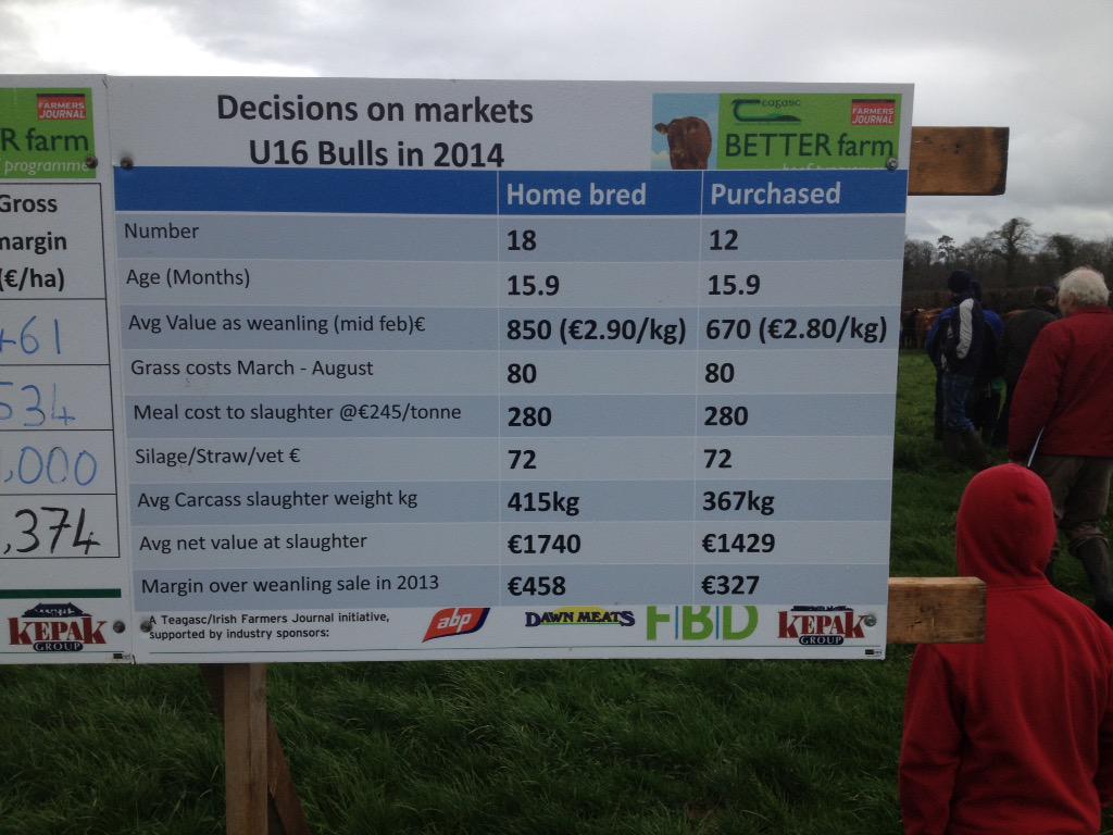 PearseKelly4's tweet photo. @teagasc @farmersjournal BETTER Beef Walk Donal Scullys Buree Limerick #beeftechtransfer €1400 GM per ha http://t.co/0E3R5LjA2K