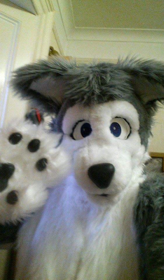 p_greywolf's tweet photo. Greywuff is finally here!! http://t.co/y7rVKwBEoi