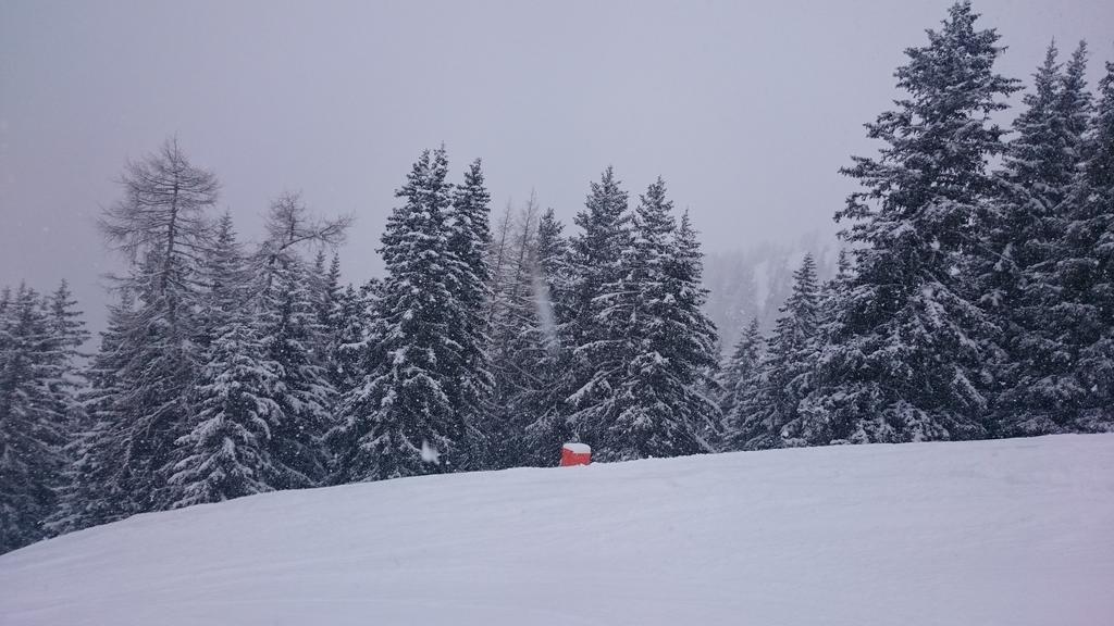 Q3Austria's tweet photo. Day five = perfect snow conditions for both skiers and boarders @q3academy http://t.co/gSLeEmLK2h