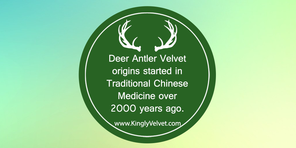 Kingly Velvet tweet media