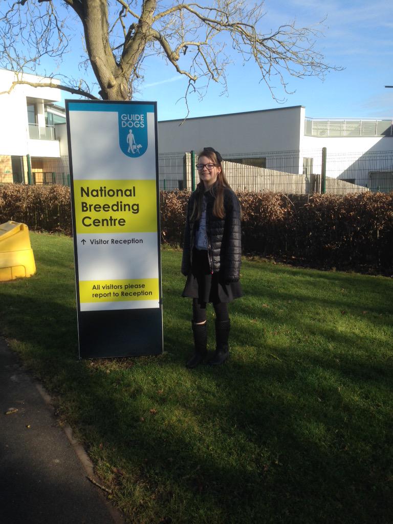 lisheswishes's tweet photo. Excited for my visit to the guide dog national breeding centre, in February. (Sorry it's late!) http://t.co/Xj4vpqikmK