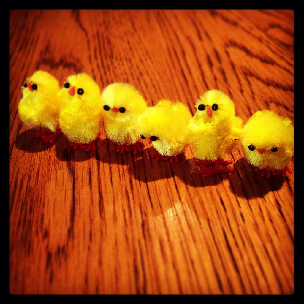 Tweet Tweet <a href="/gypsy2108/">pauline</a>