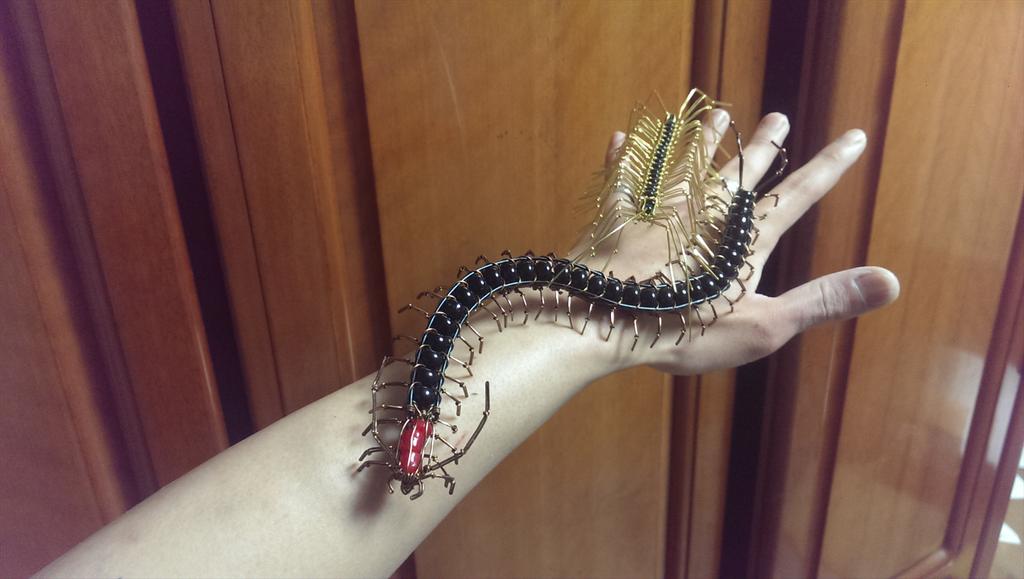 あ𓆨 ね 個人的にはゲジは見た目キモいけど大人しくて実は良い奴 ムカデは寝ている人間とかでも容赦なく 取り敢えず噛みついとくかー みたいなノリで噛んでくる厄介な奴 ってイメージですw Http T Co Rnbsvercb5 Twitter