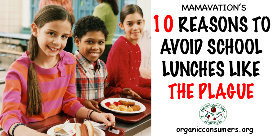 OrganicConsumer's tweet photo. Did you know? Some school hamburgers contain over 26 ingredients! Kids deserve healthy food! http://t.co/UwAY2I35Kp http://t.co/Ic73gS8IWK