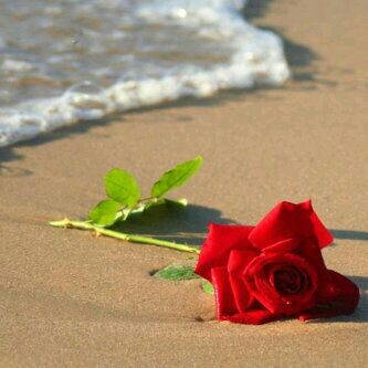 sofana_ah's tweet image. 