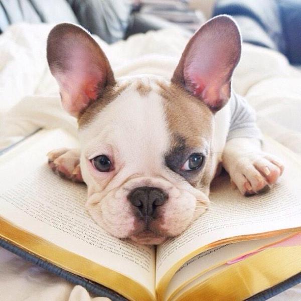 main_exitpaper's tweet image. じーっ