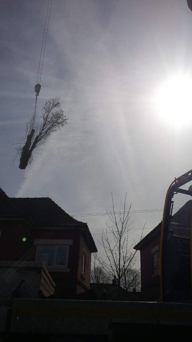 TreeManWolfe's tweet image. Last section of the day