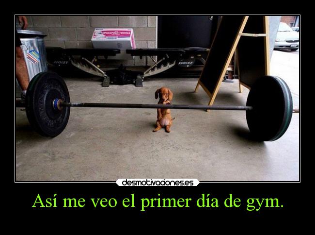Desmotivaciones Es A Twitter Tu Primer Dia De Gimnasio Http T Co F0tyfr7a8g Http T Co Hnc2yd10ua desmotivaciones es a twitter tu