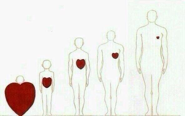 sandrita_185's tweet photo. "@John____McClane: Los palos de la vida #MenosCorazón #YMásCabeza http://t.co/aCtLMxLFAC"