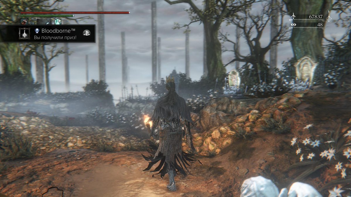 2steppazz's tweet image. Bloodborne™
Bloodborne™(Platinum) #PS4share