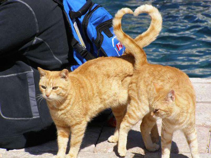 Spring Love!