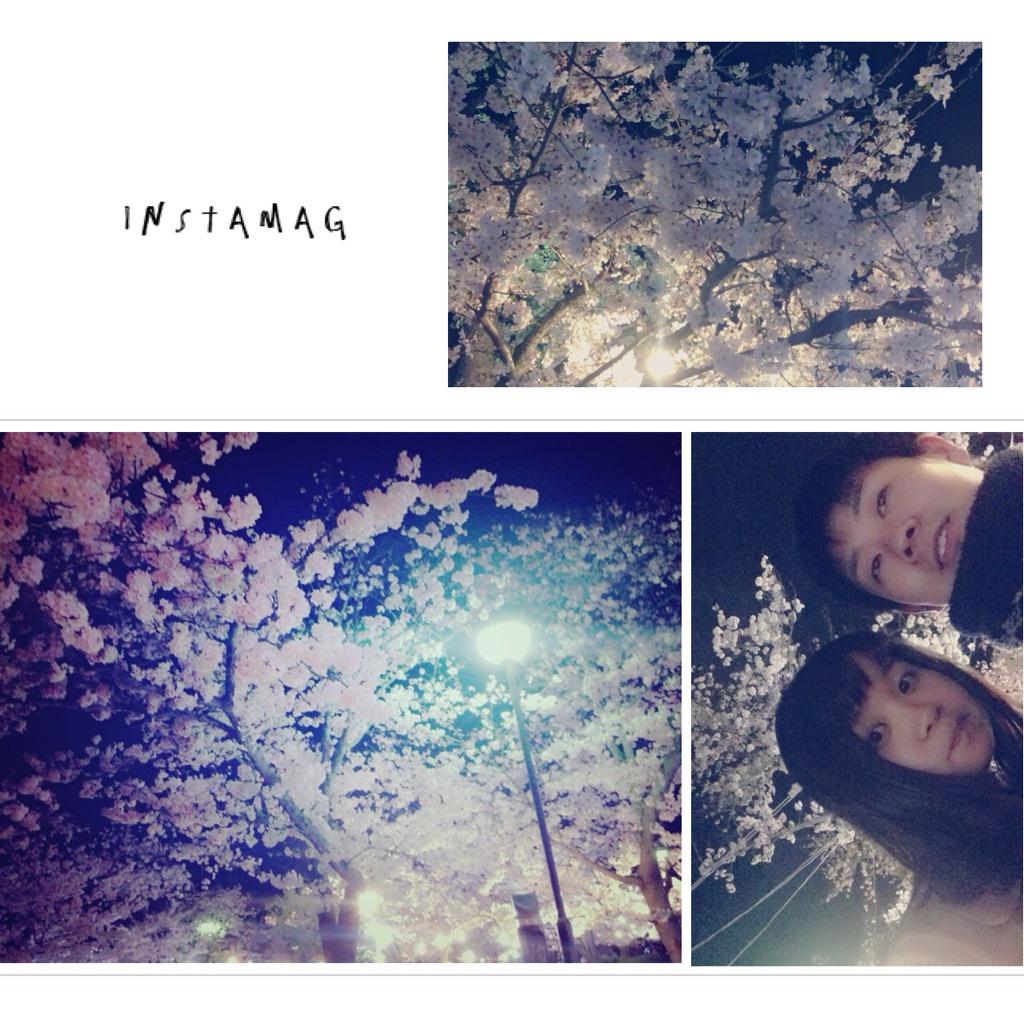 9q9q_'s tweet photo. 雨で散る前に〜 ✿✿
やっぱり桜がいちばん好き  ◟່◞ુ່

♯道後公園 http://t.co/eR35s1meu1