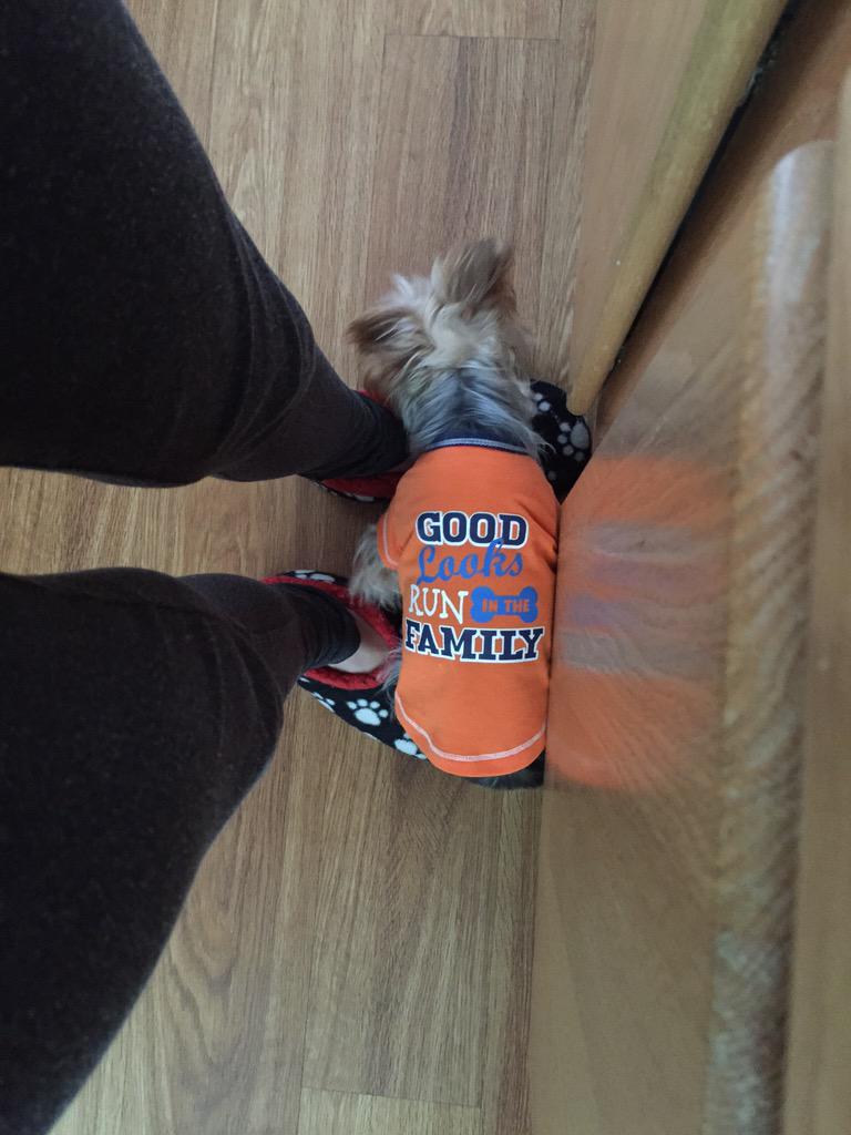 KathleenLights1's tweet photo. See? He's a mommas boy! I didn't raise no mommas boy!!!!!! http://t.co/iU7UGD7nvs