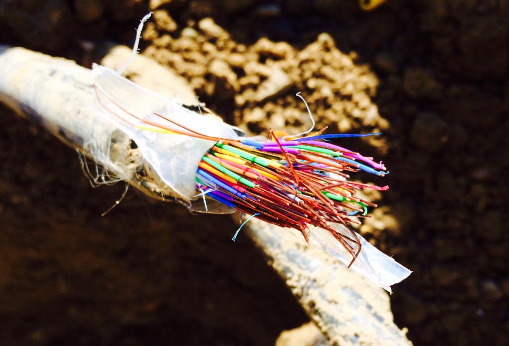 FinderLLC tweet picture