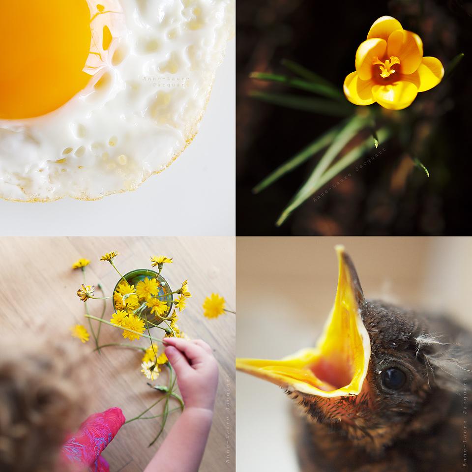 Ambiance du moment #photography #photographie #spring #printemps #pâques #easter #happyeaster annelaurejacquart.com/dans-lair-du-t…