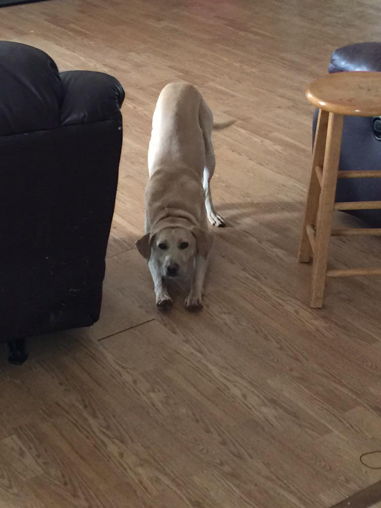 JacobChilders1's tweet photo. When you the most faded at Spano @MattWhis @51danielj http://t.co/1htDlmkprJ