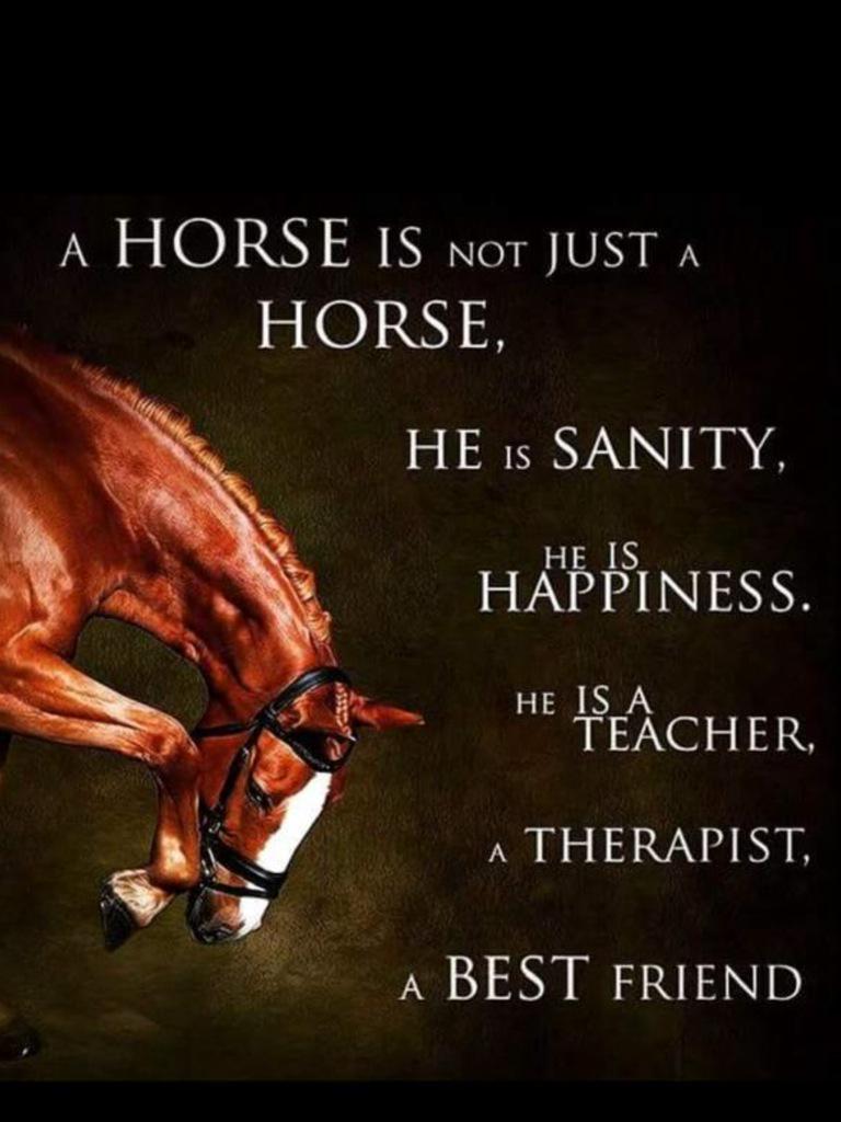 Onlyfothepack's tweet photo. @marie2_katie @Scetchlink  this is so true http://t.co/nSFaRt4C75