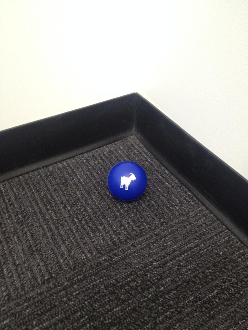 DoppelMove's tweet image. A wild goat ball has appeared! Addictively fun.. And destructive. @Communitech @strieudal