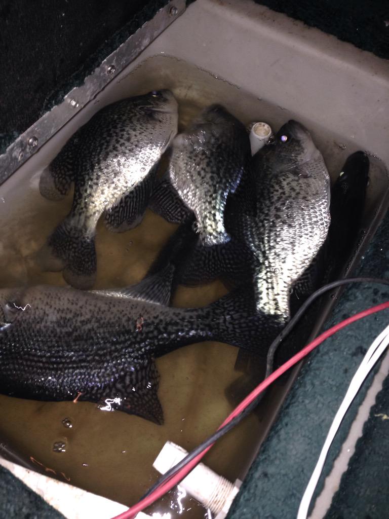 chasecdaniel's tweet photo. @joey_hollis @jessewaynetmusc @codywalden @andymillerlive http://t.co/hyY4PyphGO