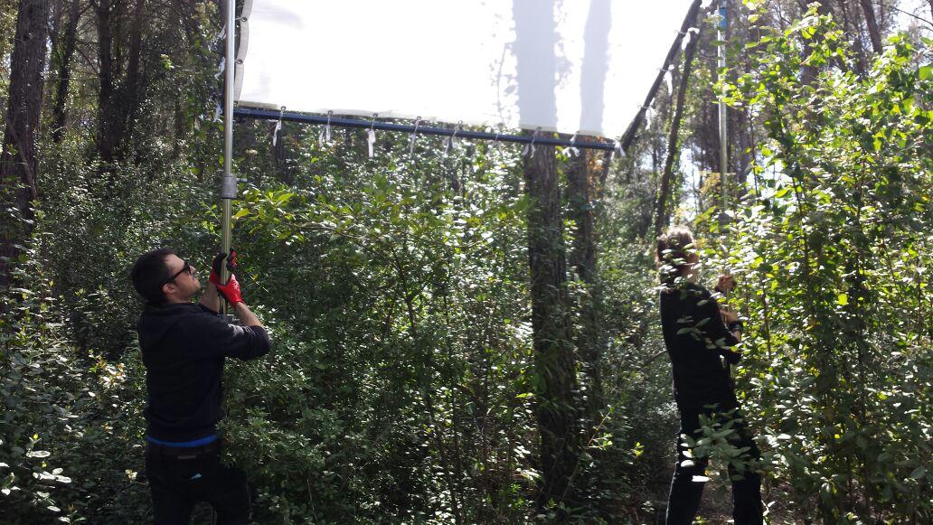 DemaNSAvui's tweet image. Llum...  #Demànoseràavui #DNSA #Equipdemà