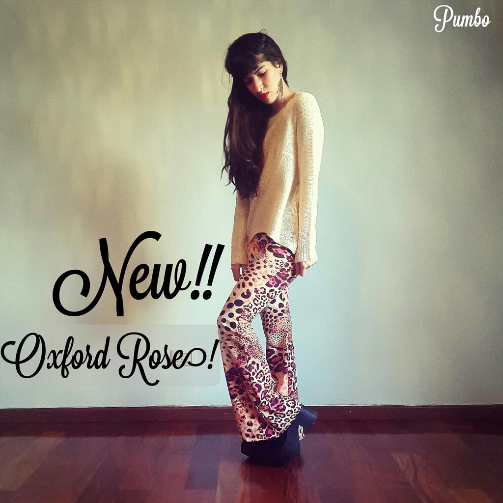 PumboInd's tweet photo. New!! Oxford Rose! ♡ http://t.co/FvGQrXJlNZ