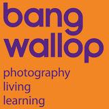 My #landscapephotography exhibition is now open, view THIS EASTER WEEKEND at <a href="/bang_wallop/">bangwallop</a> , #Salcombe.