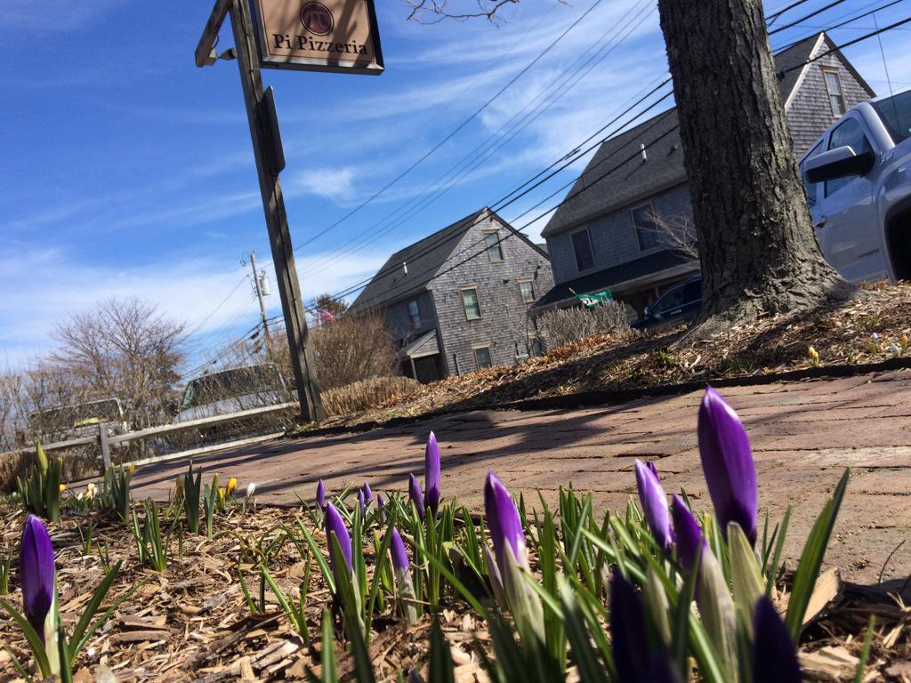 Sunshine at Brant Point and flowers sprouting at @pipizzeria ... Today is a good day! #Nantucket #BringOnSpring
