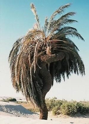 KhiryNaem's tweet photo. ث http://t.co/RBf9KeoZfl