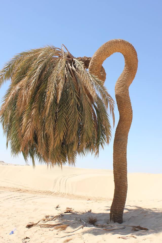 KhiryNaem's tweet photo. ث http://t.co/RBf9KeoZfl