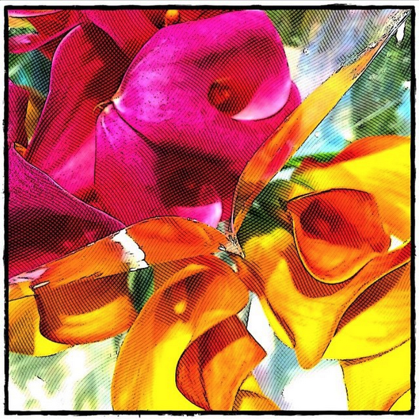 etchingsapp tweet media