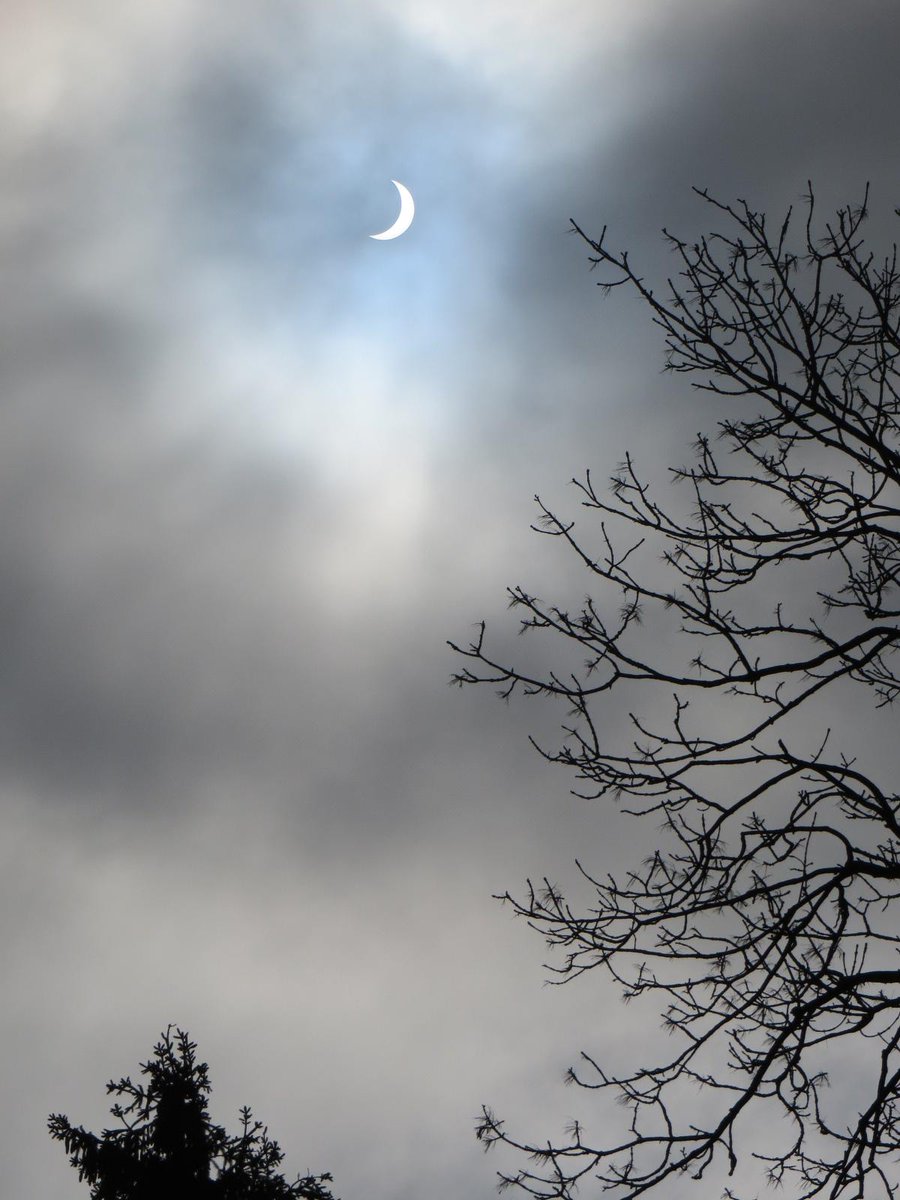 Dave du Feu tweet media