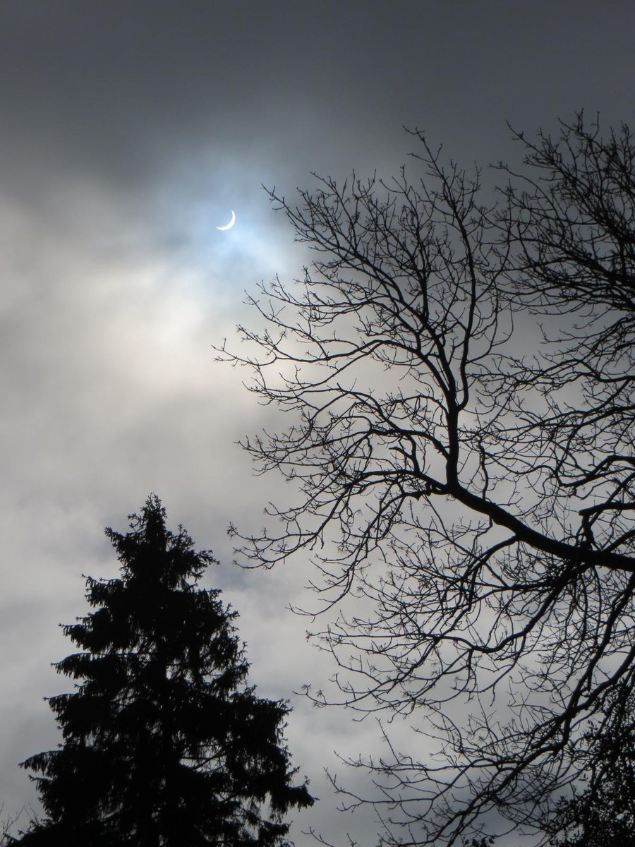 Dave du Feu tweet media