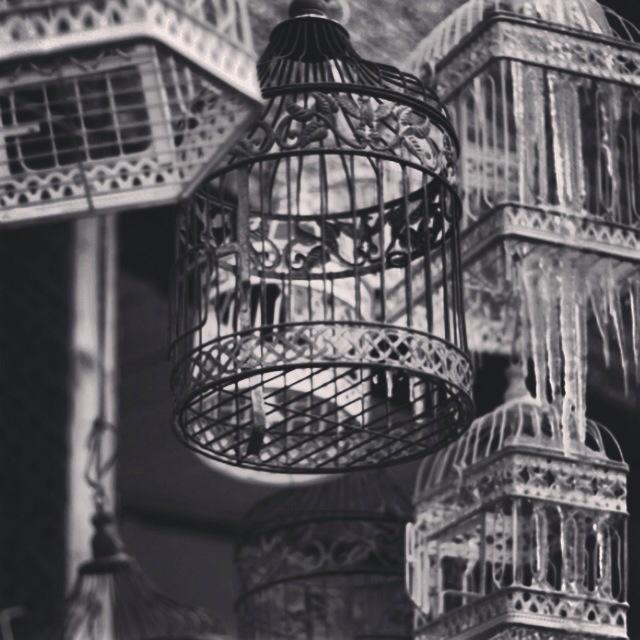 AJEPerformance's tweet image. #museumproject #scenography #design ideas. Old cages emptying out the memories....