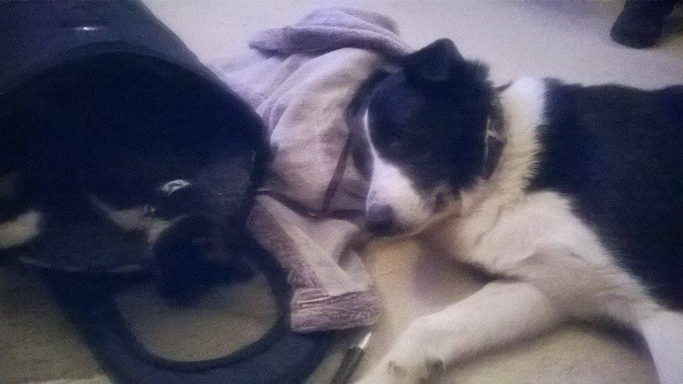 JasperRuler's tweet photo. Tired after a day of filming - holidays have come to an end! Look out for my last holiday #vlog #youtube #jasperruler http://t.co/ImmXw0TsZ7