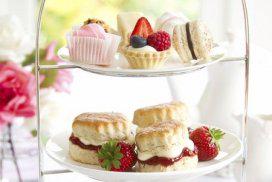 TasteNewcastle's tweet photo. Check out this awesome deal!  PECIAL off! Now only £22.00! http://t.co/ah9FHDy0We  #tastebud http://t.co/bMStft3Mfy