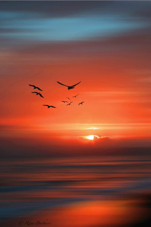 roux_isabelle's tweet photo. http://t.co/NhXxBxezLn