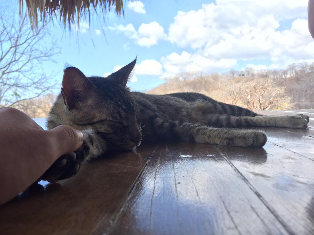 ericajanehoff's tweet image. Bf material