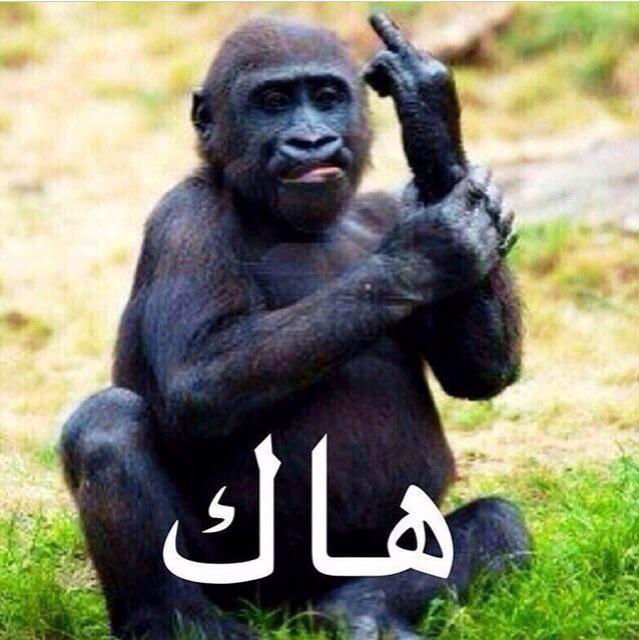 q88____'s tweet photo. في بشر يلخص حياته بتويته  صاحب الهاشتاق #لخص_حياتك_في_تويته http://t.co/0Y0RHfyhgw