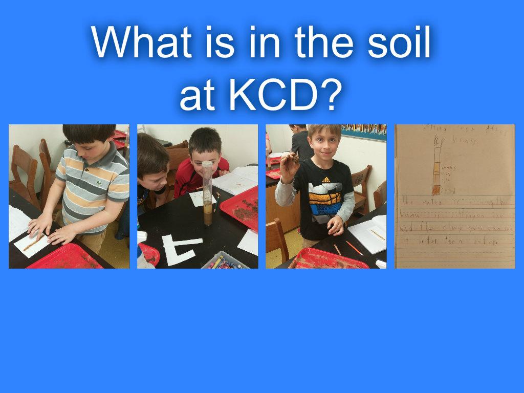 KCDLSScience's tweet image. What's in the soil at KCD? 2nd graders use settling, smear, and roll-a-ball tests to figure it out. #gokcd