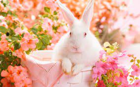 sonya8954's tweet photo. Красата http://t.co/bjMkXjfkUA