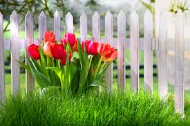 sonya8954's tweet photo. Красата http://t.co/bjMkXjfkUA