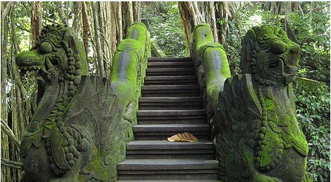 ZorpidisCA's tweet photo. Stairs by the koi pool of Monkey Forest, Ubud, Bali, Indonesia http://t.co/RPAUSFfwv1